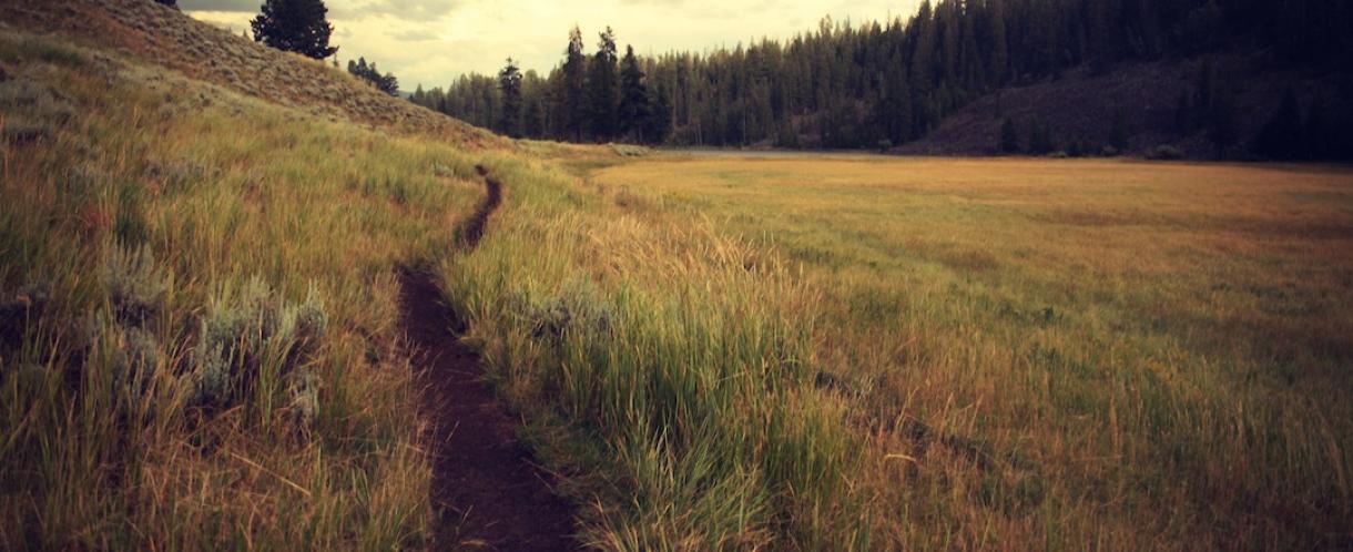 Path
